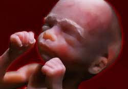 Elles commencent souvent par une sensibilité au niveau de l'os du pubis et vous pouvez aussi souffrir pendant la marche, la station debout prolongée, le vélo, monter des. 21 Semaine De Grossesse En Mois Get Images