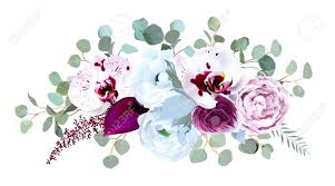 Uniper, echeveria succulent vector design frame. Exotic Speckled Orchid Anthurium Purple Rose Anemone Eucalyptus Royalty Free Cliparts Vectors And Stock Illustration Image 127273362