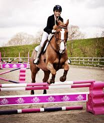 Katie Price Equestrian Katie Starter Set Show Jumps Show Jumping Equestrian Life Equestrian