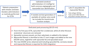 The tests measure a few of your body responses and pit them against your control answers in order to determine the likelihood of your telling the truth. State Of The Art Paper Cardiovascular Ct For Planning Ventricular Tachycardia Ablation Procedures Journal Of Cardiovascular Computed Tomography