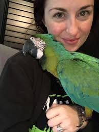 Fizzing Flock Bomb Party