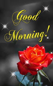 100+ Beautiful Good Morning Gifs | Good morning roses, Good ...