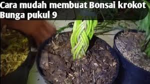 Cara Mudah Membuat Bonsai Krokot Bunga Pukul 9 Youtube