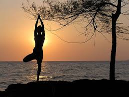 Hangi hareket tarzı olursa olsun özünde mindfulness olan yoga merkezi. Best Tucson Yoga Studios