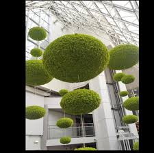 Hashtag Plantwalls Sur Instagram Photos Et Videos Mit Bildern Pflanzen Grune Wande Moosgarten