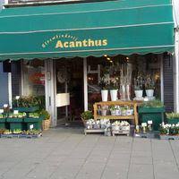 Bloembinderij Acanthus