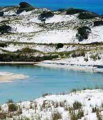 Floridian Nature Spot Of The Week Grayton Beach Grayton Beach Florida Seaside Florida Grayton Beach State Park