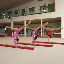 La trave per la ginnastica artistica di taishan è disponibile in versione da gara e da allenamento, bassa e a terra, con relative protezioni. Trave In Gomma Gymnova Per Allenamento Ginnastica Artistica