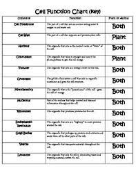 Maybe you would like to learn more about one of these? Animal Cell Organelles And Their Functions Chart Cell Organelle Chart By Everly 270 350 Of Be Cell Organelles Animal Cell Organelles Organelles