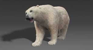 3d Polar Bear Fur Rigged Model By V3d Vendor Polar Bear Fur Polar Bear Bear