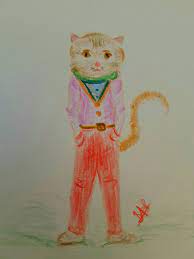 bay kedi pisss kedi