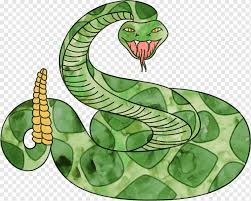 Maybe you would like to learn more about one of these? Ular Ular Berbisa Tentang Kita Lukisan Cat Air Hewan Vertebrata Png Pngwing