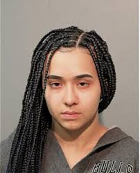 ᐅ Illinois Criminal Records 2009-2025