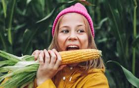 Wetter.Wasser.Waterkant.2024 24