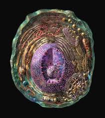 Cell membrane, nucleus, and cytoplasm are all visible. Animal Cell Photograph By Russell Kightley Science Photo Library