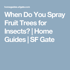 (also known as petal fall or shuck) spray peach trees with a copper fungicide, or use a combination spray that controls both pests and diseases. When Do You Spray Fruit Trees For Insects Fruit Trees Harvest Fruit