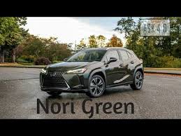 Image result for Nori Green 2020 UX