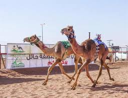 164 likes · 1 talking about this. Ø§Ù„Ù…Ù†Ø´Ø·Ø§Øª ØªÙØ­Øµ Ø§Ù„Ù‡Ø¬Ù† Ø§Ù„Ù…Ø´Ø§Ø±ÙƒØ© ÙÙŠ Ù…ÙˆØ³Ù… Ø­Ø§Ø¦Ù„ ØµØ­ÙŠÙØ© Ø§Ø«Ø± Ø§Ù„Ø§Ù„ÙƒØªØ±ÙˆÙ†ÙŠØ©