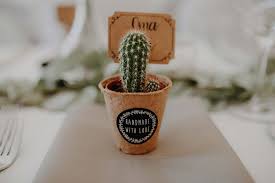 Sind geeignete pflanzen erzeugt worden, führt dieses verfahren dann schnell zum zuchtziel. Kakteen Als Gastgeschenk Zur Hochzeit Unsere Ubersicht