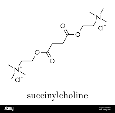 Image result for Succinylcholine