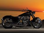 Image result for Vivid Black 1993 FXR
