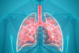 What Is A Pulmonologist Lung Doctor What To Expect When To See One