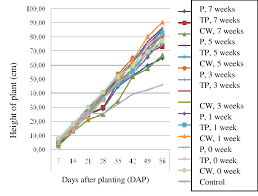 Development Of Plant Height On Rhizobacterial Introduced