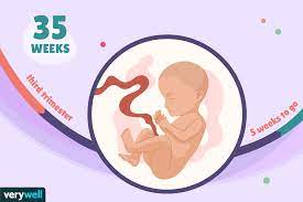 See full list on pampers.com 35 Weeks Pregnant Baby Development Symptoms And More