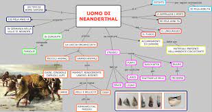 Ma l'uomo di neanderthal aveva altre caratteristiche e capacità straordinarie. Istituto Comprensivo Santorre Di Santarosa Scuola Primaria