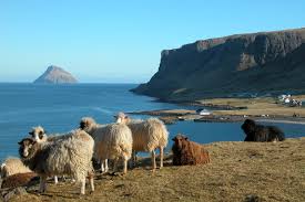 We did not find results for: Faroese Knitting Festival Daily Scandinavian