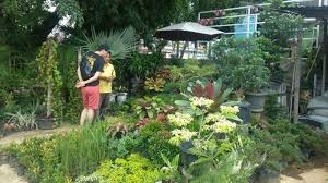 Momen Idul Fitri Permintaan Membuat Taman Mini Di Dalam Rumah Meningkat Tribun Medan