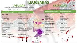 These blood cells are not fully developed and are called blasts or leukemia cells. Cultomedico Leucemias Facebook