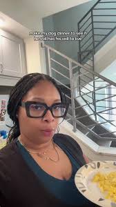 maxwell aka my stinky baby boyyy still has his fight in him he just didnt  want dog food lol #feeding #seniordog #seniordogsoftiktok #dogsoftiktok  #scrambledeggs #fyp