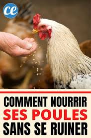 Epingle Sur Trucs De La Vie Quotidienne