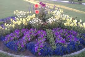 Maybe you would like to learn more about one of these? Adopt A Flowerbed Contest Idaho Falls Id