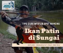 Tempat tinggal ikan nila yang alami biasanya memiliki suhu antara 14 derajat celsius sampai dengan 38 derajat celsius. Tips Cara Memilih Spot Mancing Ikan Patin Di Sungai Ampuh Atmago