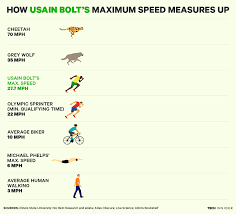 heres how usain bolts top speed compares to michael phelps