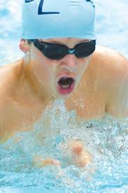 Dolphins Place First in NVSL