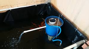 Kolam Ikan Dari Paralon Dan Filter Sederhana Youtube