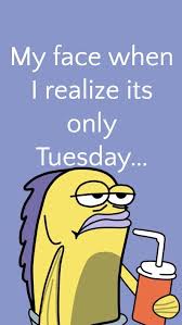 We did not find results for: Tuesday Humour Tuesday Humor Work Memes Funny Quotes