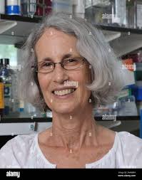 Kleinman hi-res stock photography and images