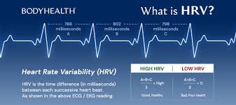 Image result for Heart Rate