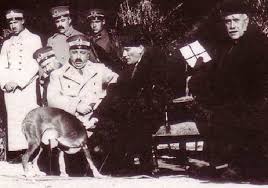 ataturk un kopegi fox oyun yapiyor