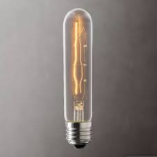 Image result for Ctenium longiglume