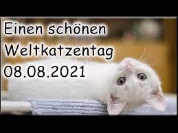Want to discover art related to weltkatzentag? Biqdp49pxnvmm