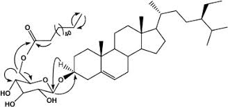 Image result for Klainedoxa