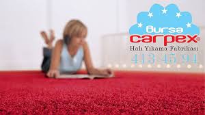 Carpex Hali Yikama Fabrikasi Nilufer Bursa 0224 413 45 94