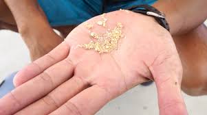 This star sand beach in okinawa is a great destination. Star Sand Beaches In Okinawa Japan Ixigo Travel Stories