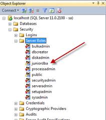 Sql Server User Defined Server Roles Sql Server Sql Database Security