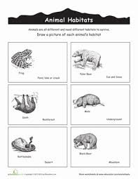 Animal Habitats Coloring Worksheet Education Com Animal Habitats Animal Habitats Preschool Habitats